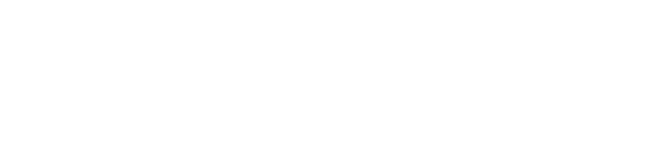 PRO DRON SHOT Logo